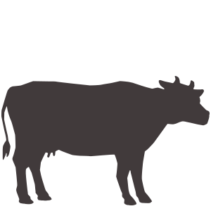 Grass-Fed, Grass-Finished
