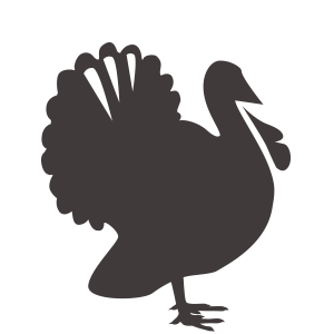 Talking Turkey