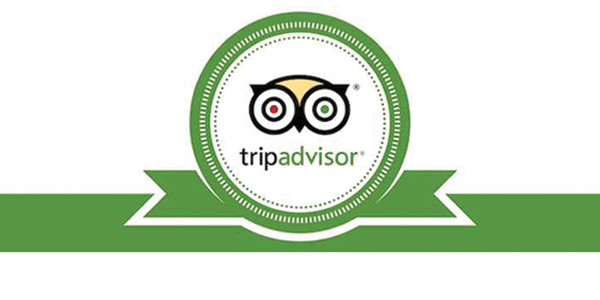 Trip Advisor's Certificate of Excellence